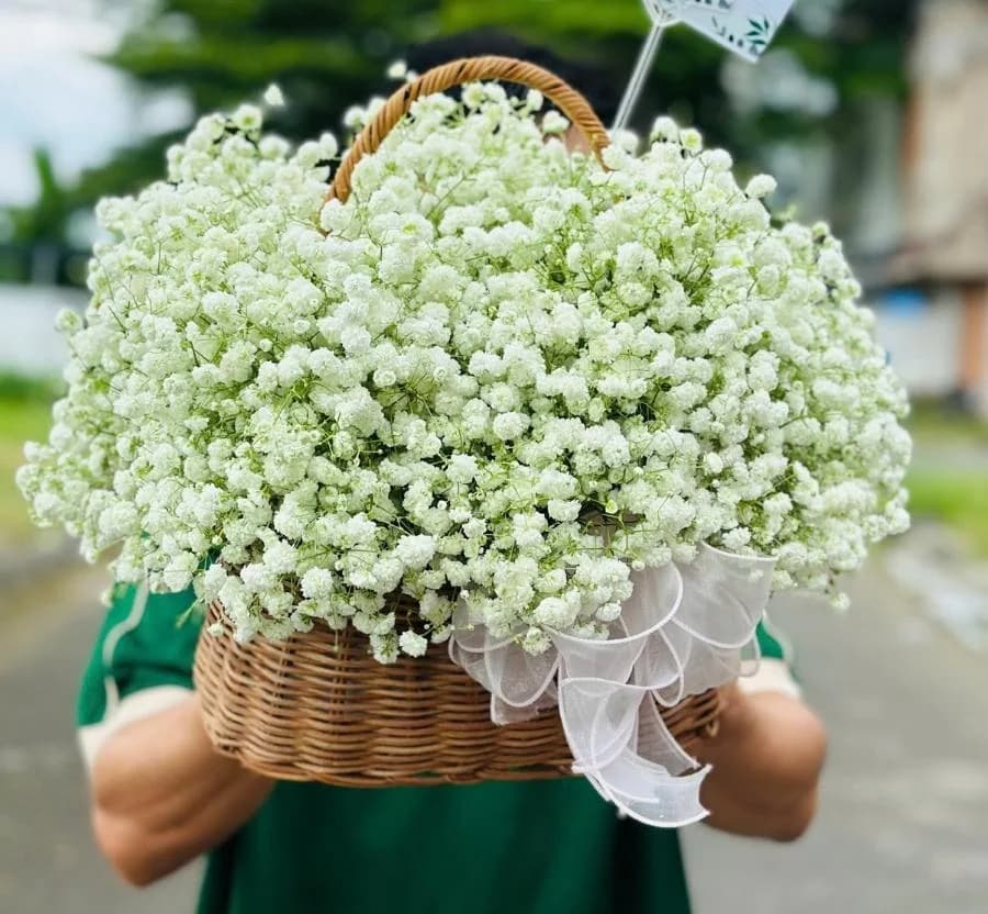 Giỏ hoa (GH-404)