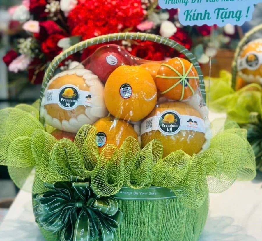 Giỏ trái cây (TC-1098)