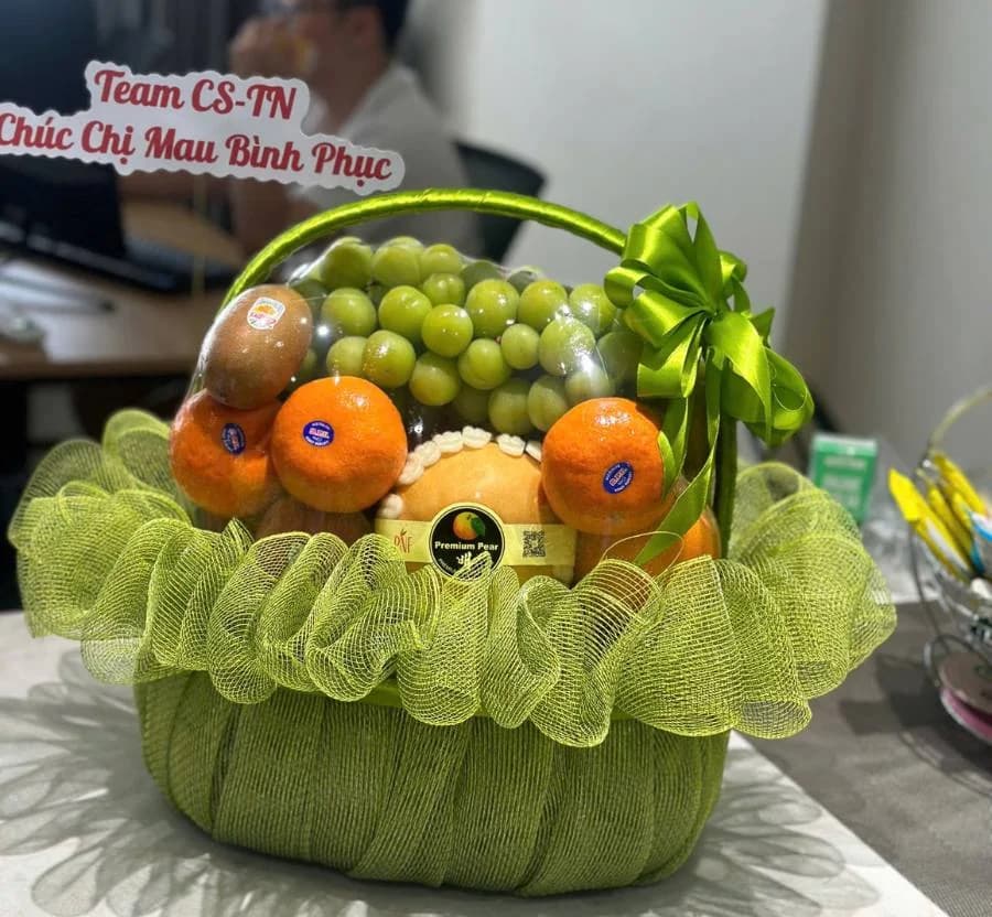 Giỏ trái cây (TC-837)